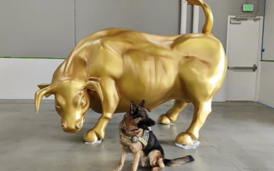 K-9 Sgt. Lanzer on Lamborghini